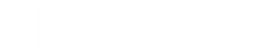 Visual Vows Logo White