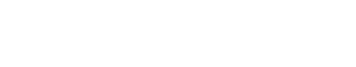 Visual Vows Logo White